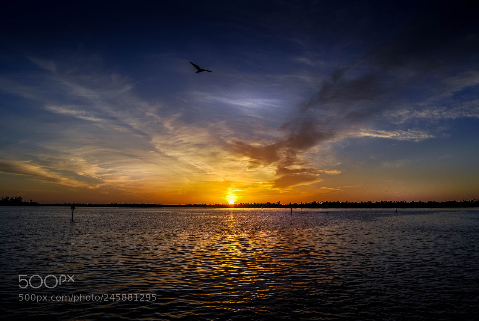 Nikon D40X sample photo. Sunset at charlotte beach photography