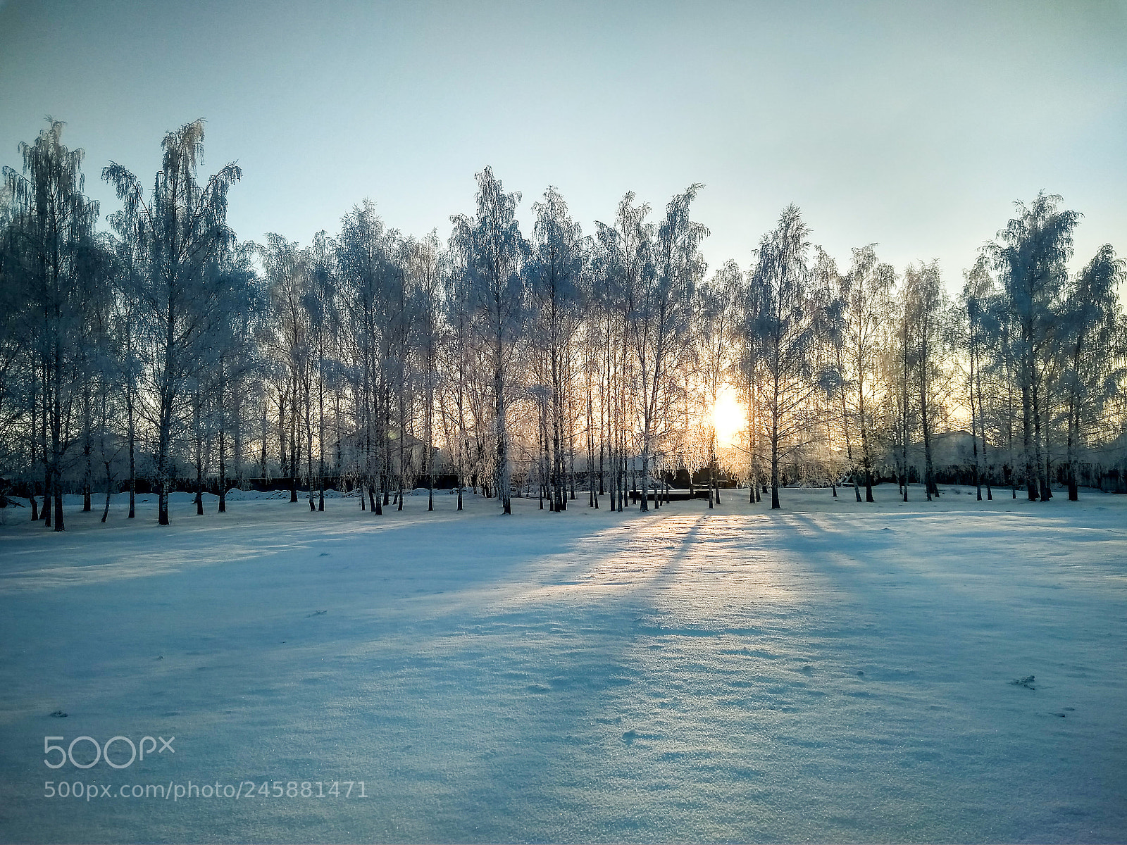 Xiaomi Redmi 4A sample photo. Winter cold dawn photography