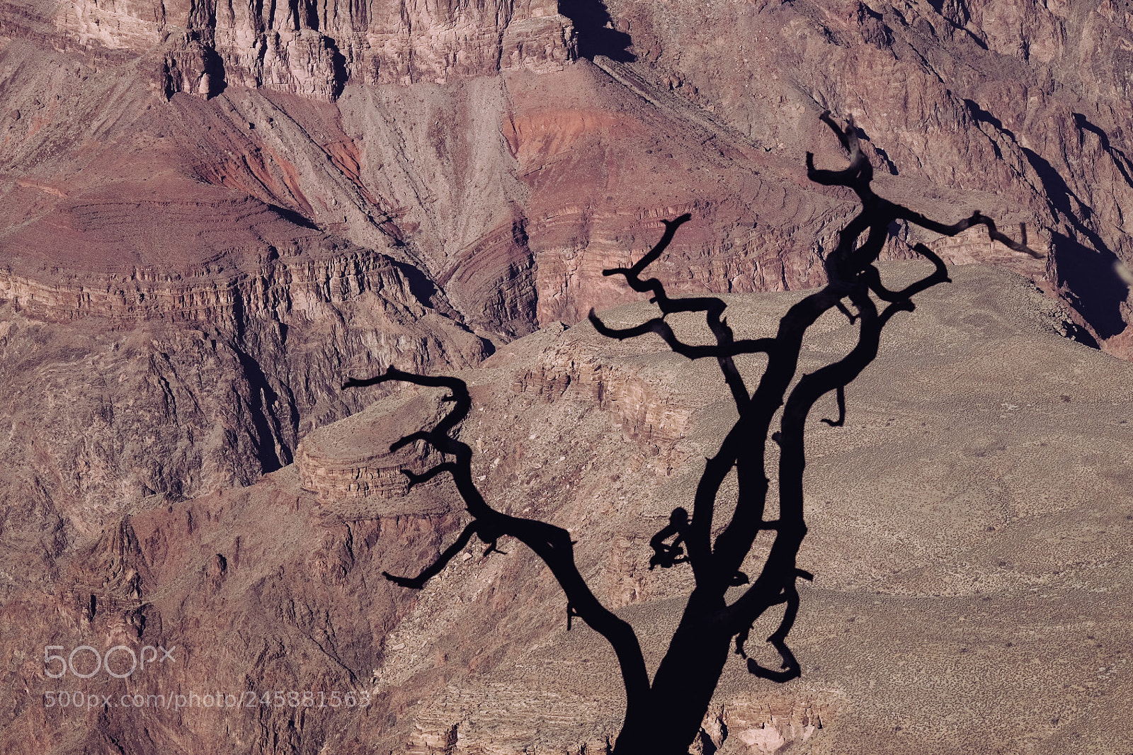 Fujifilm X-T1 sample photo. Grand canyon silhoutte photography