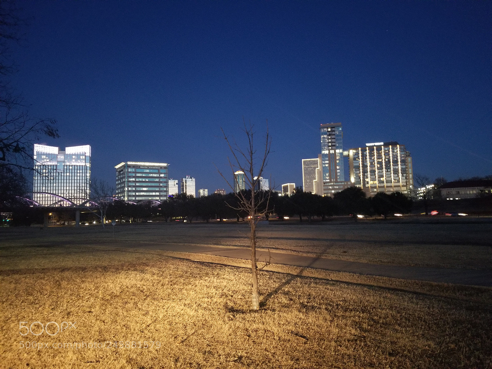 Samsung Galaxy S8+ sample photo. Untitled photography