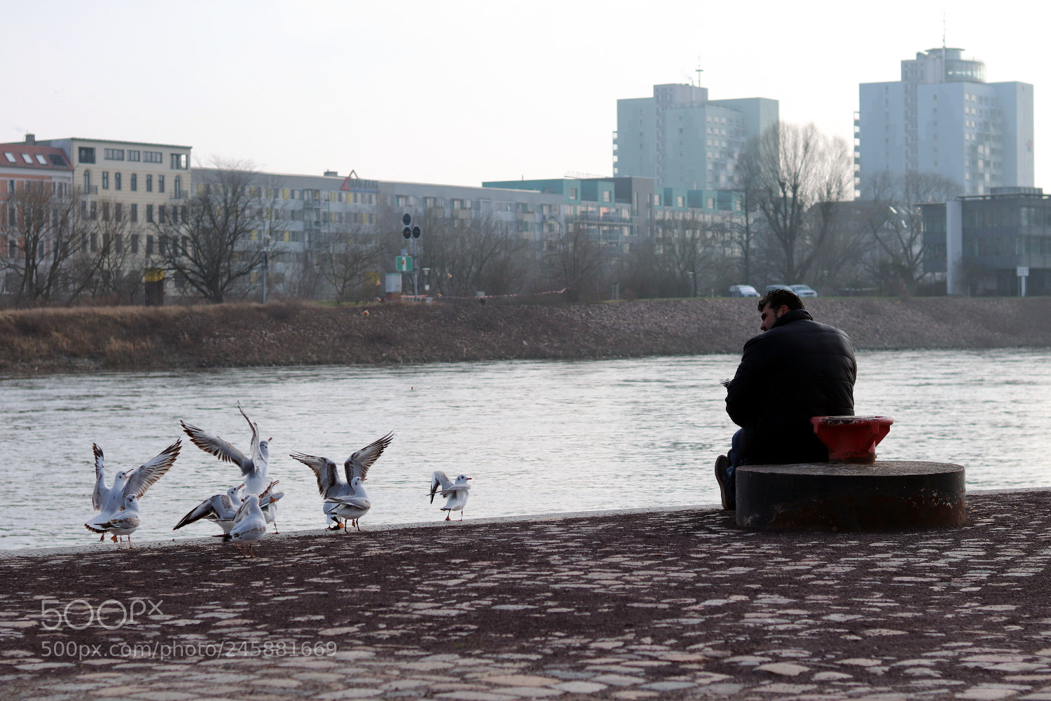 Canon EOS 200D (EOS Rebel SL2 / EOS Kiss X9) + Canon EF 50mm F1.8 STM sample photo. By the river photography