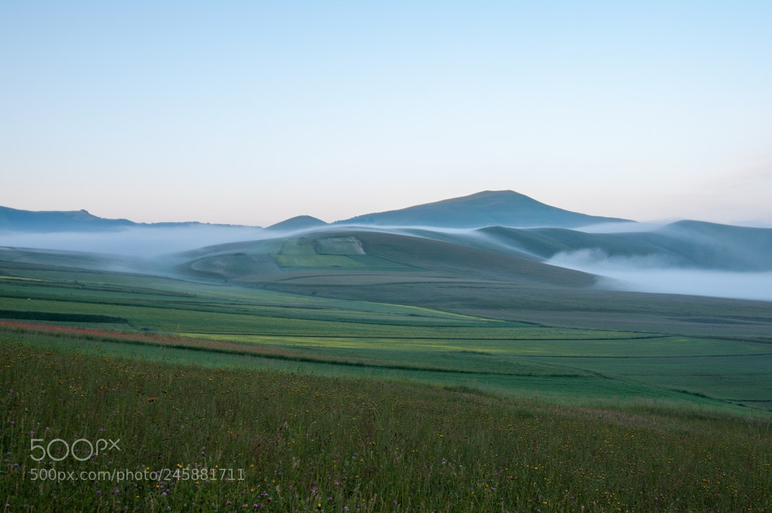 Pentax K-7 sample photo. The fog is coming photography