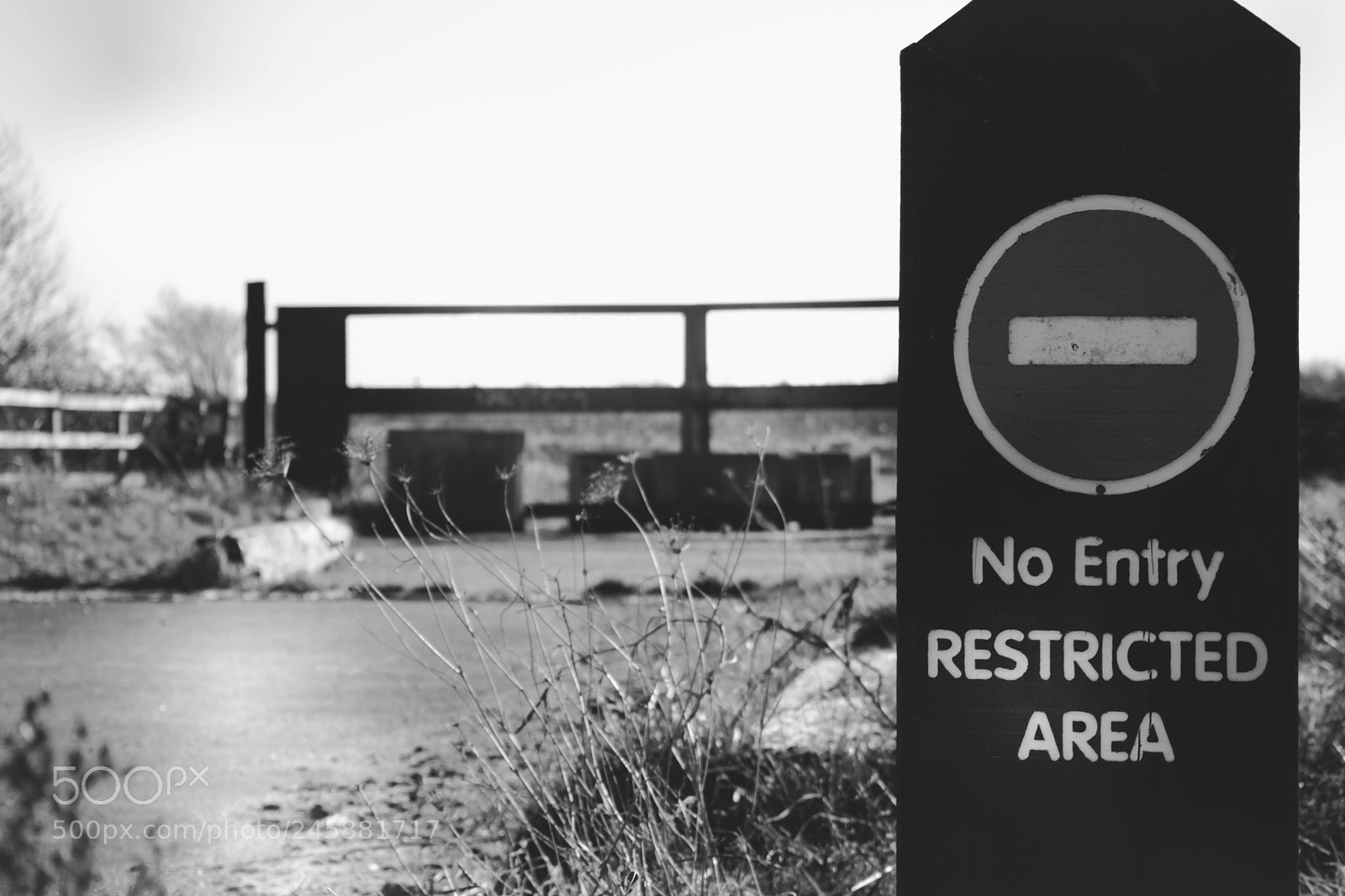Nikon D3400 sample photo. Country park photography