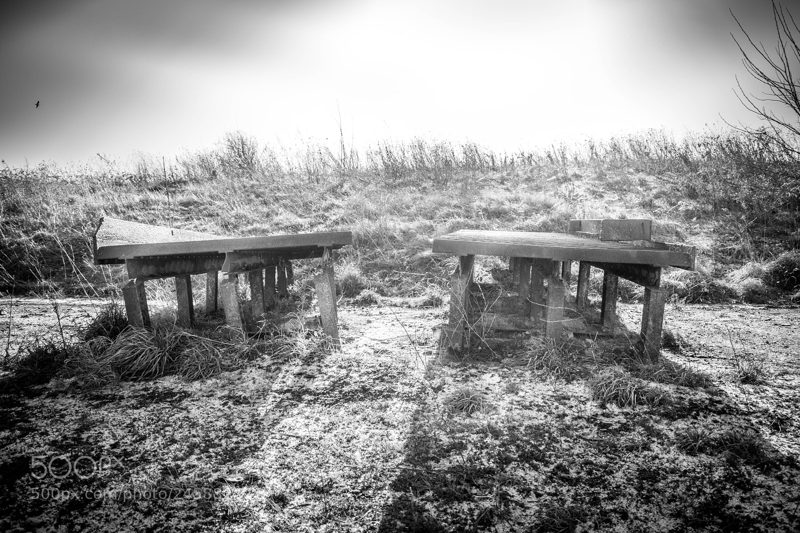 Nikon D3400 sample photo. Country park photography