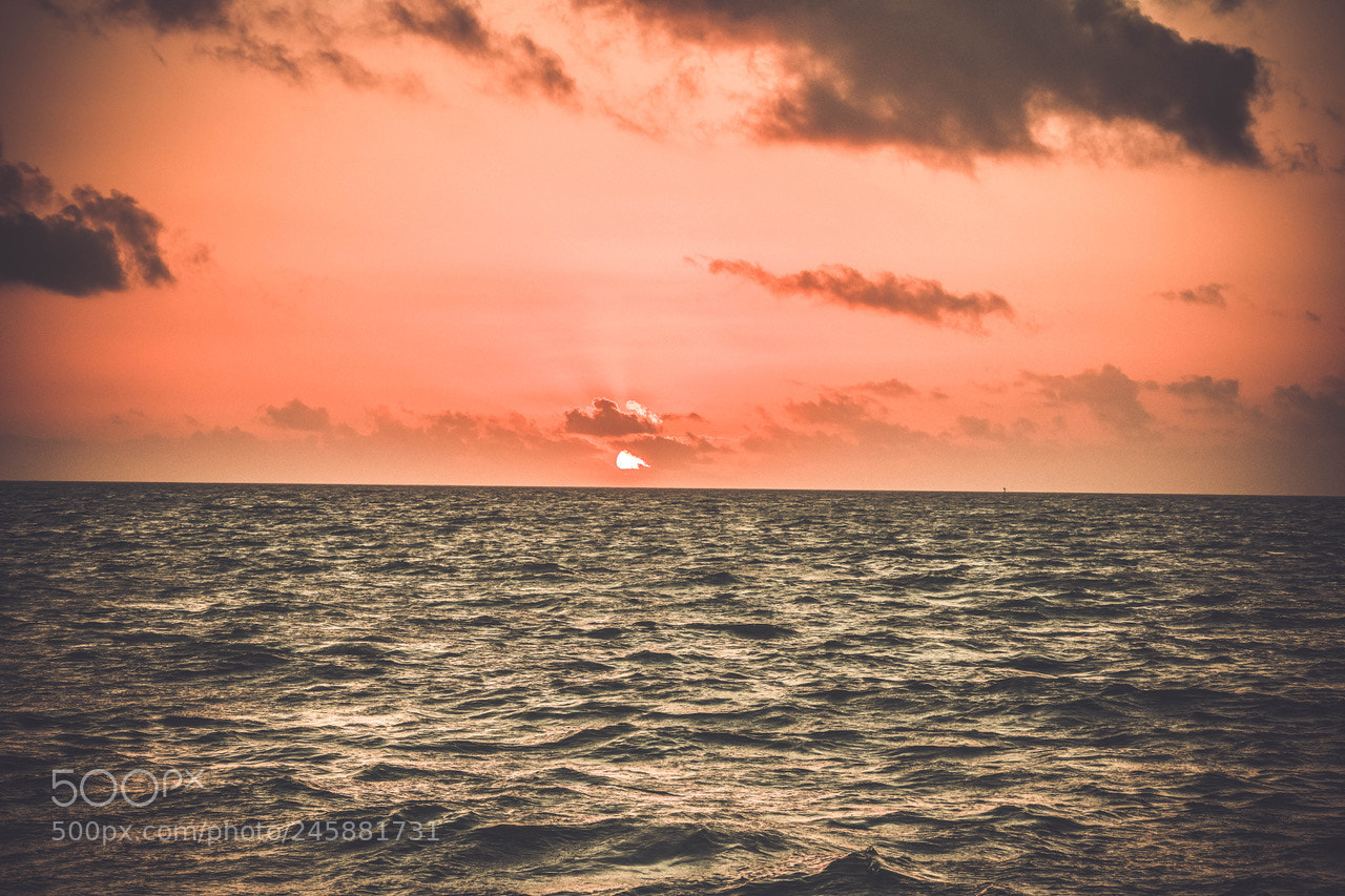 Nikon D7200 sample photo. Horizon and reflection.. photography