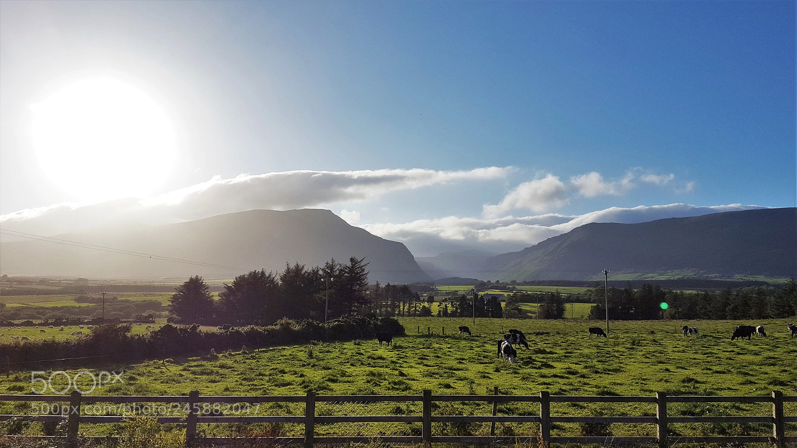 Samsung Galaxy S6 sample photo. Kerry's beauty photography
