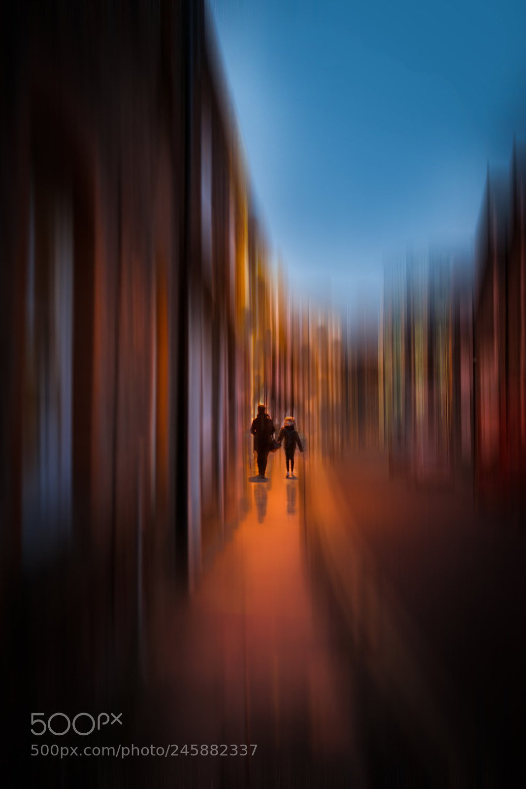 Nikon D800 sample photo. Evening stroll photography