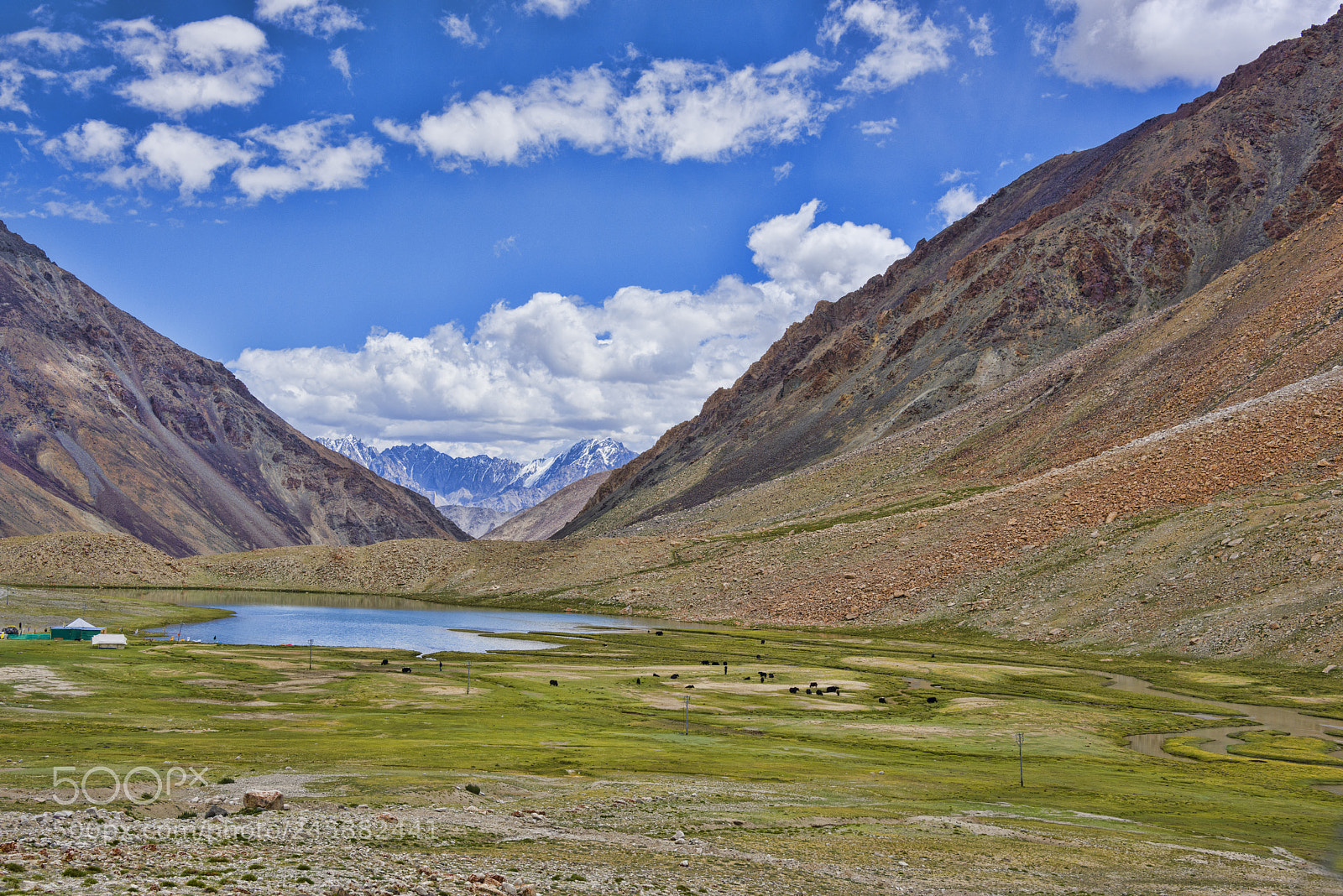 Nikon D810 sample photo. Tangtse landscape ladakh, jammu photography