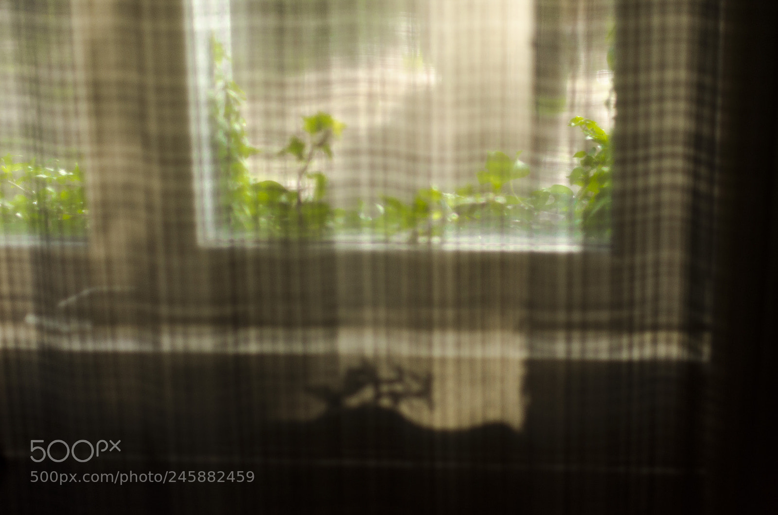 Nikon D5100 sample photo. Home photography