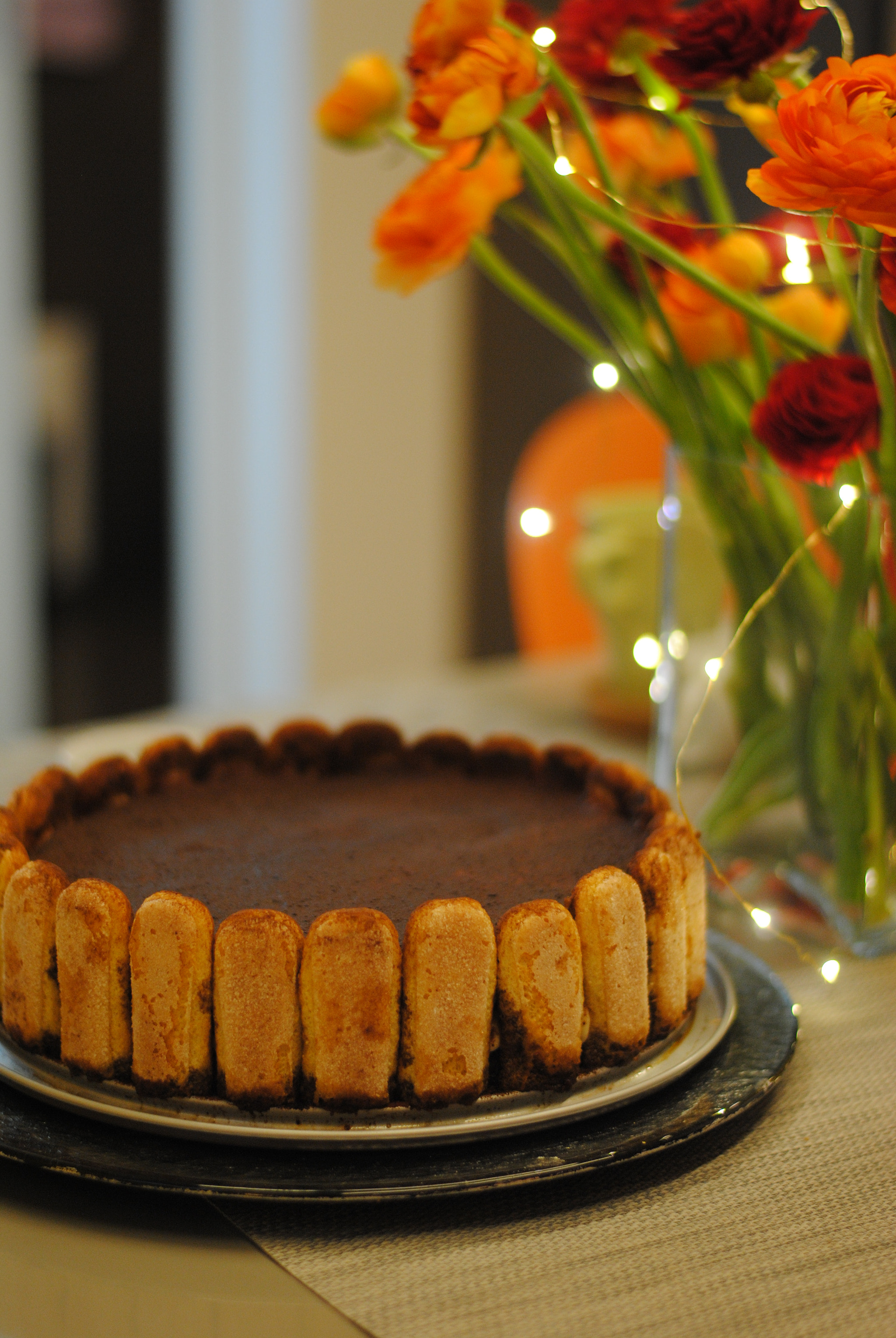 Nikon D3000 sample photo. Tiramisu photography