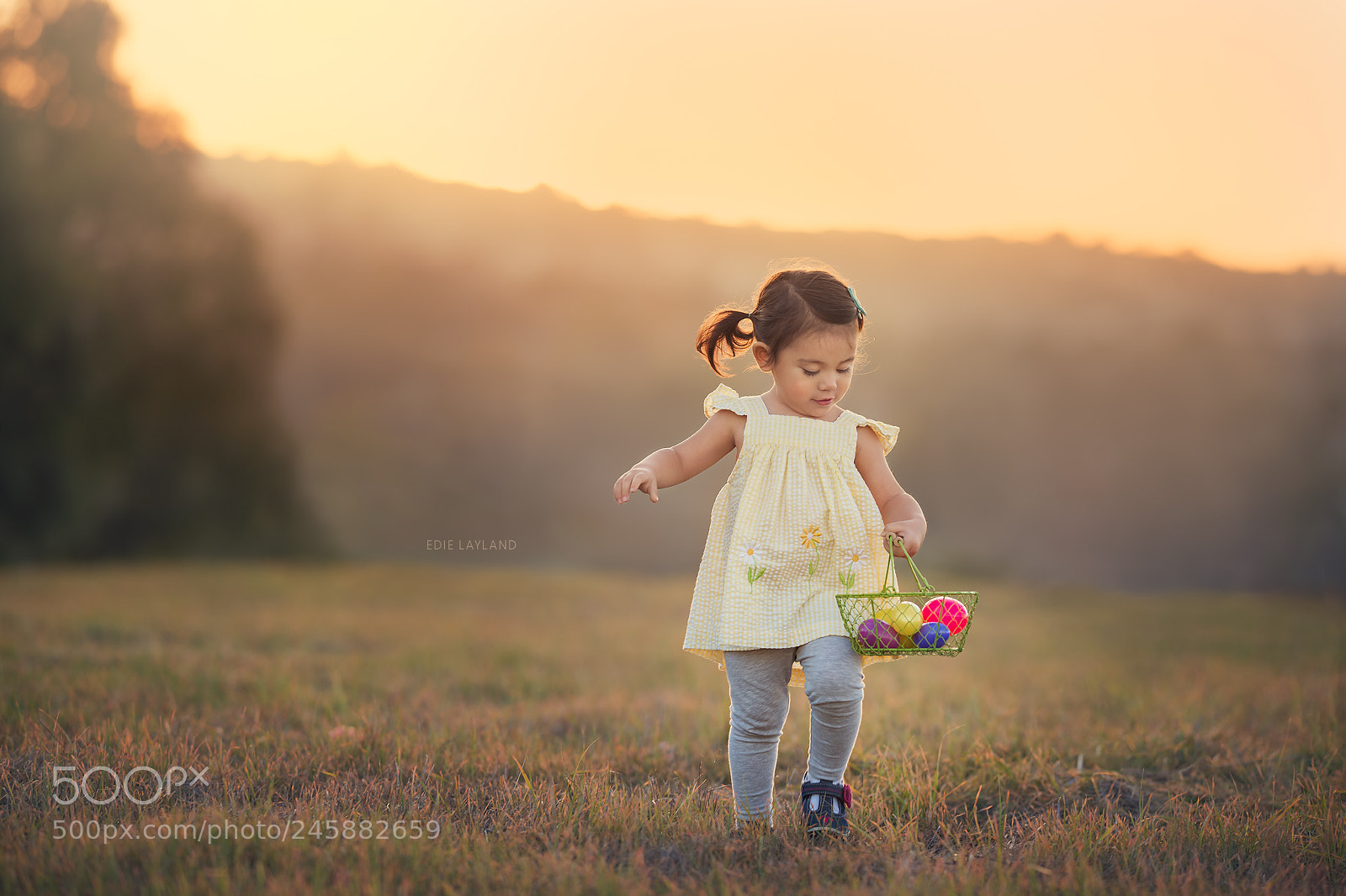 Nikon D850 sample photo. Easter fun - little photography