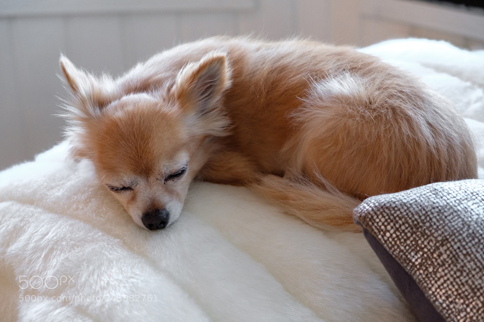 Fujifilm X-Pro2 sample photo. Relaxing photography