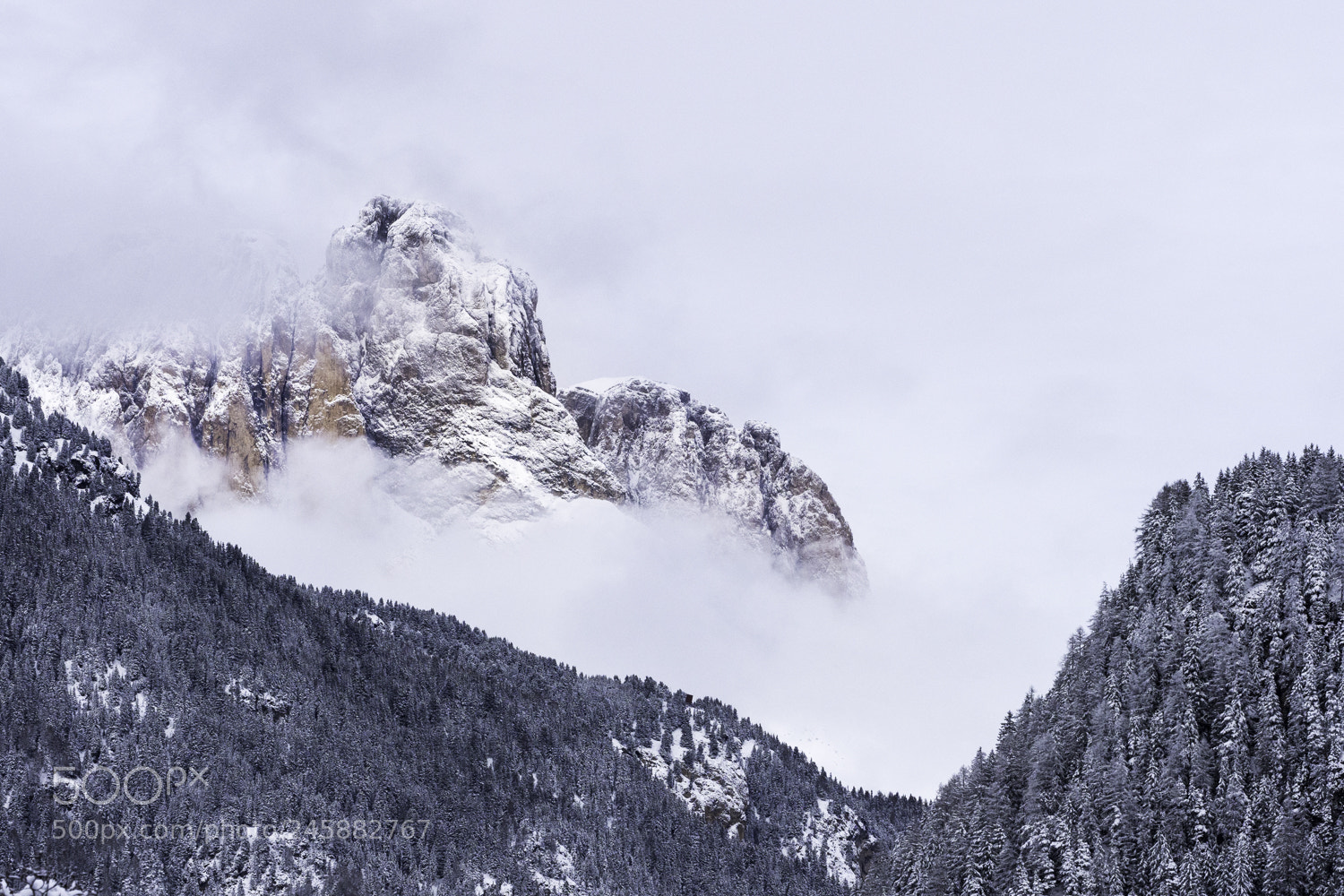 Olympus OM-D E-M1 Mark II sample photo. Fresh fallen snow on photography