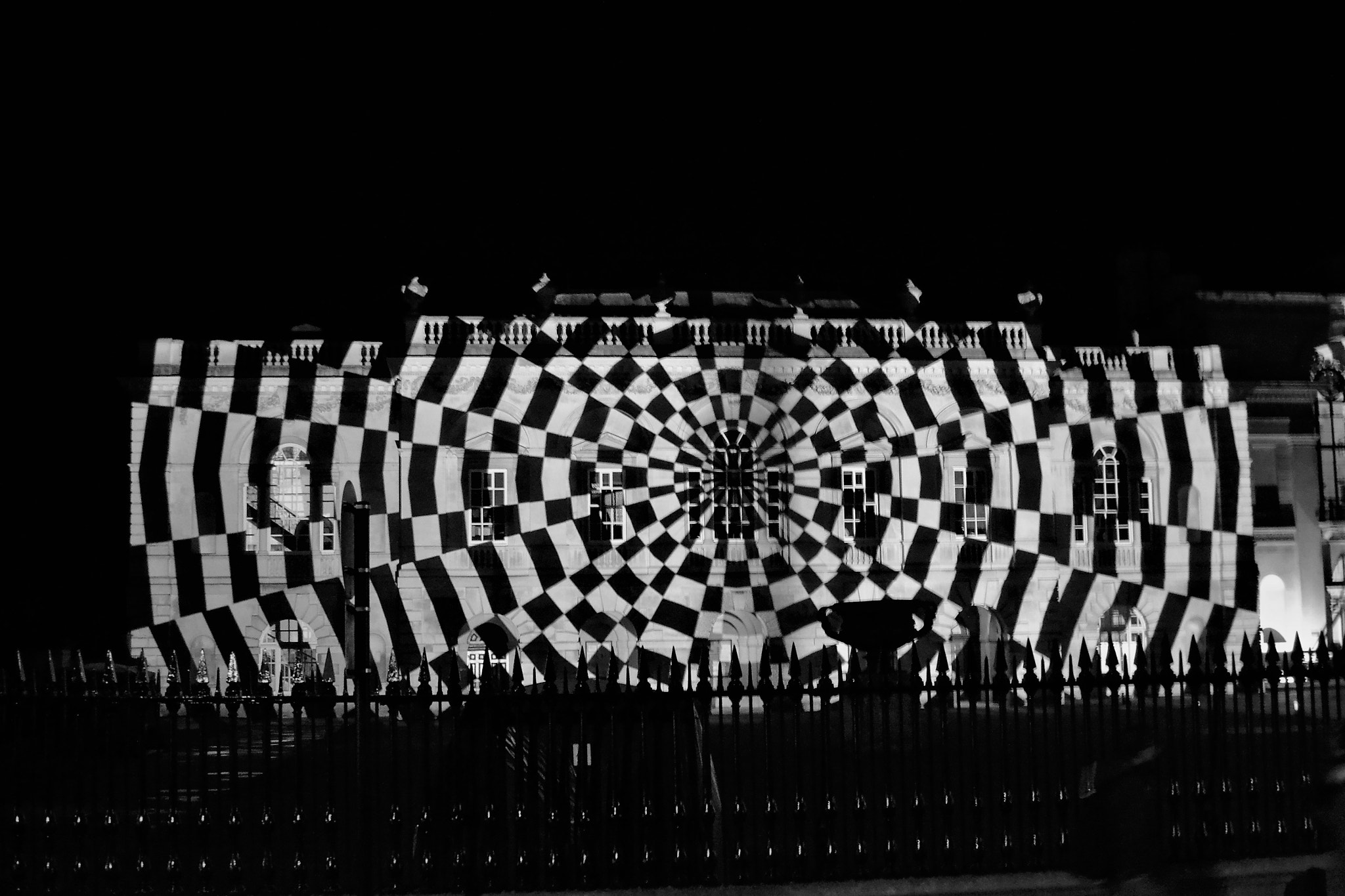 Nikon D3100 sample photo. Intoxicated zebra photography
