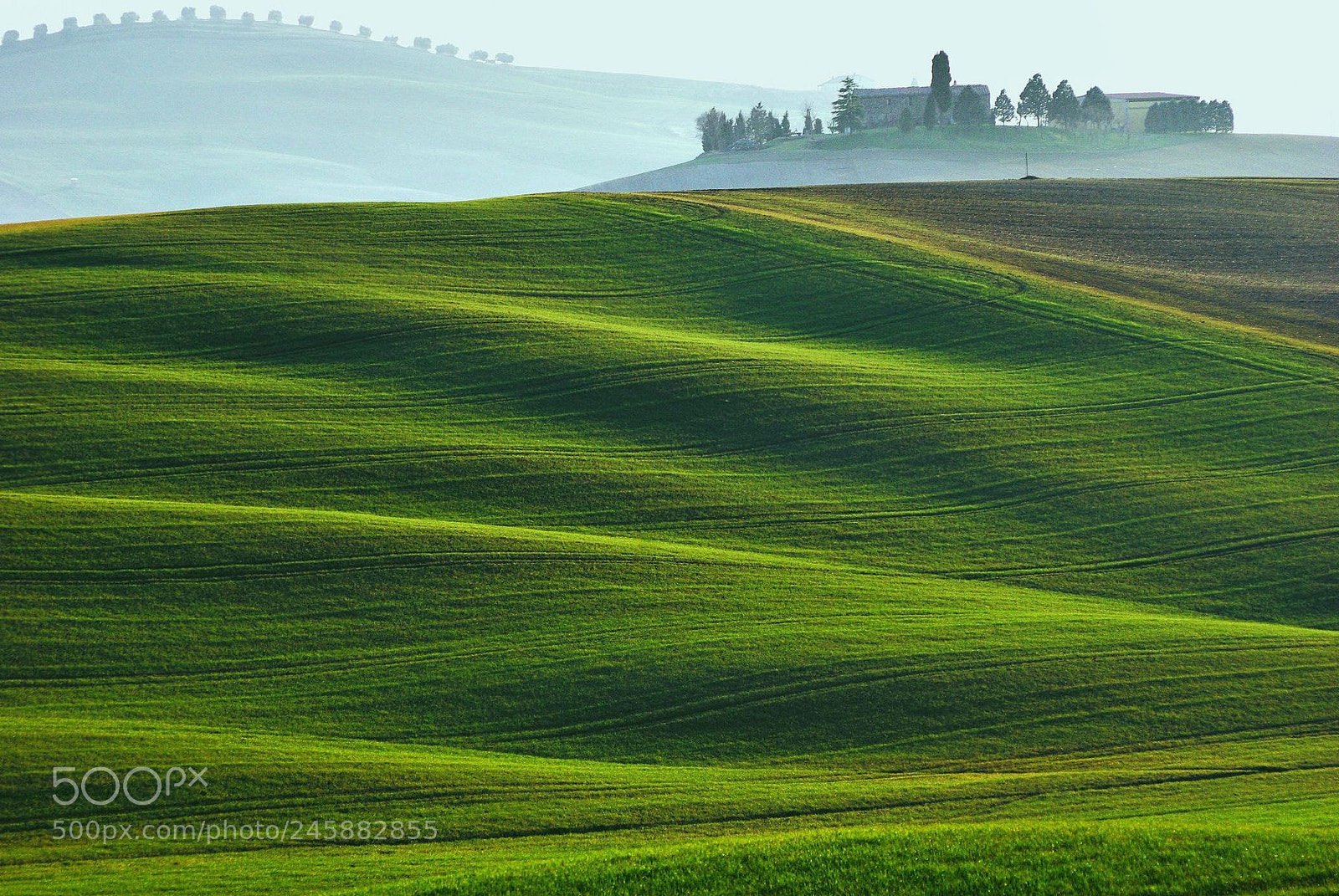 Pentax K10D sample photo. Val d'orcia countryside photography
