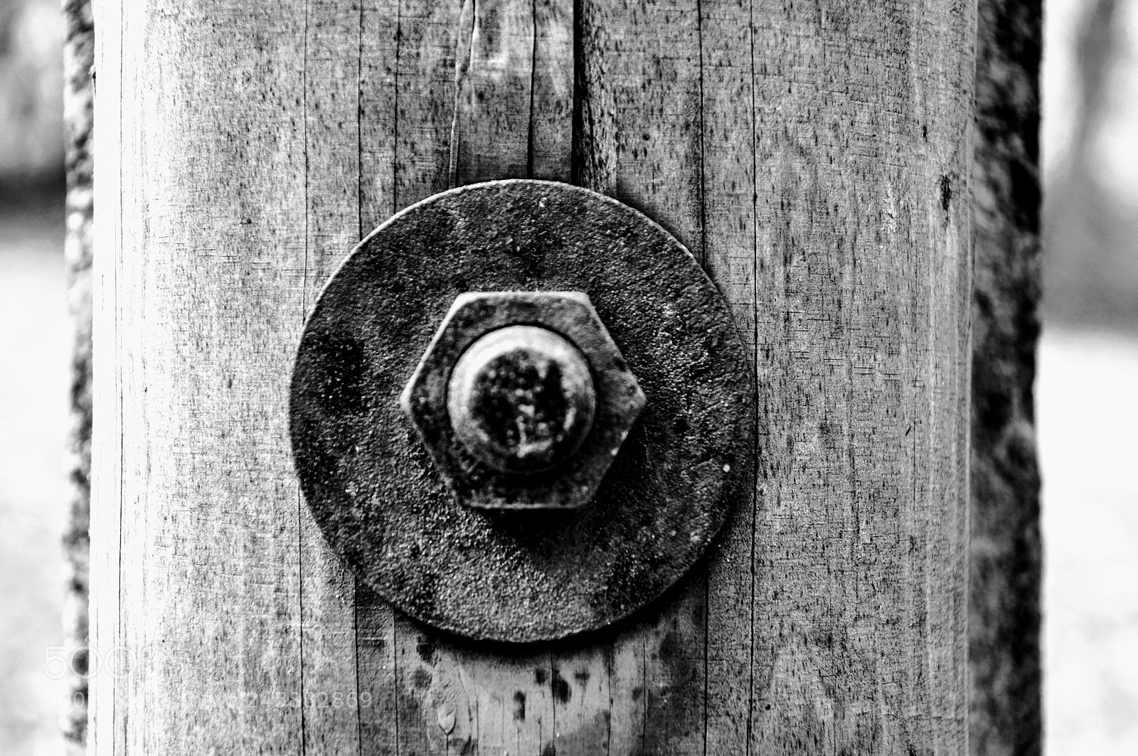 Nikon D90 sample photo. Untitled photography