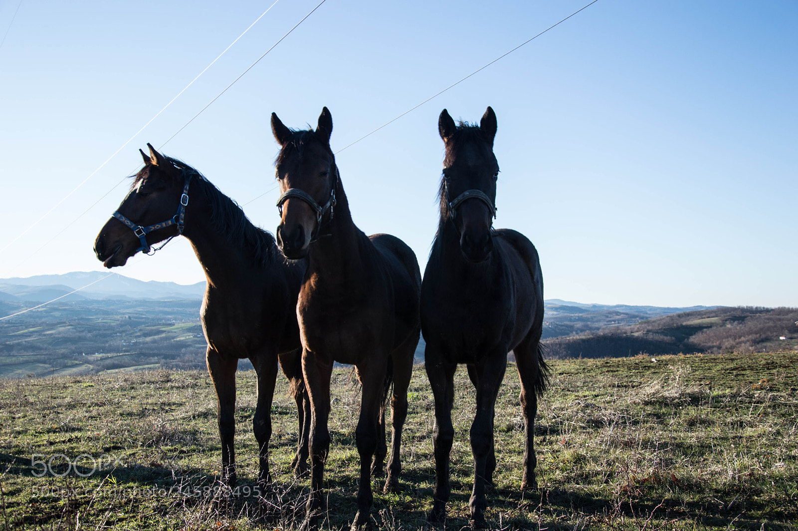 Nikon D3200 sample photo. Three friends photography