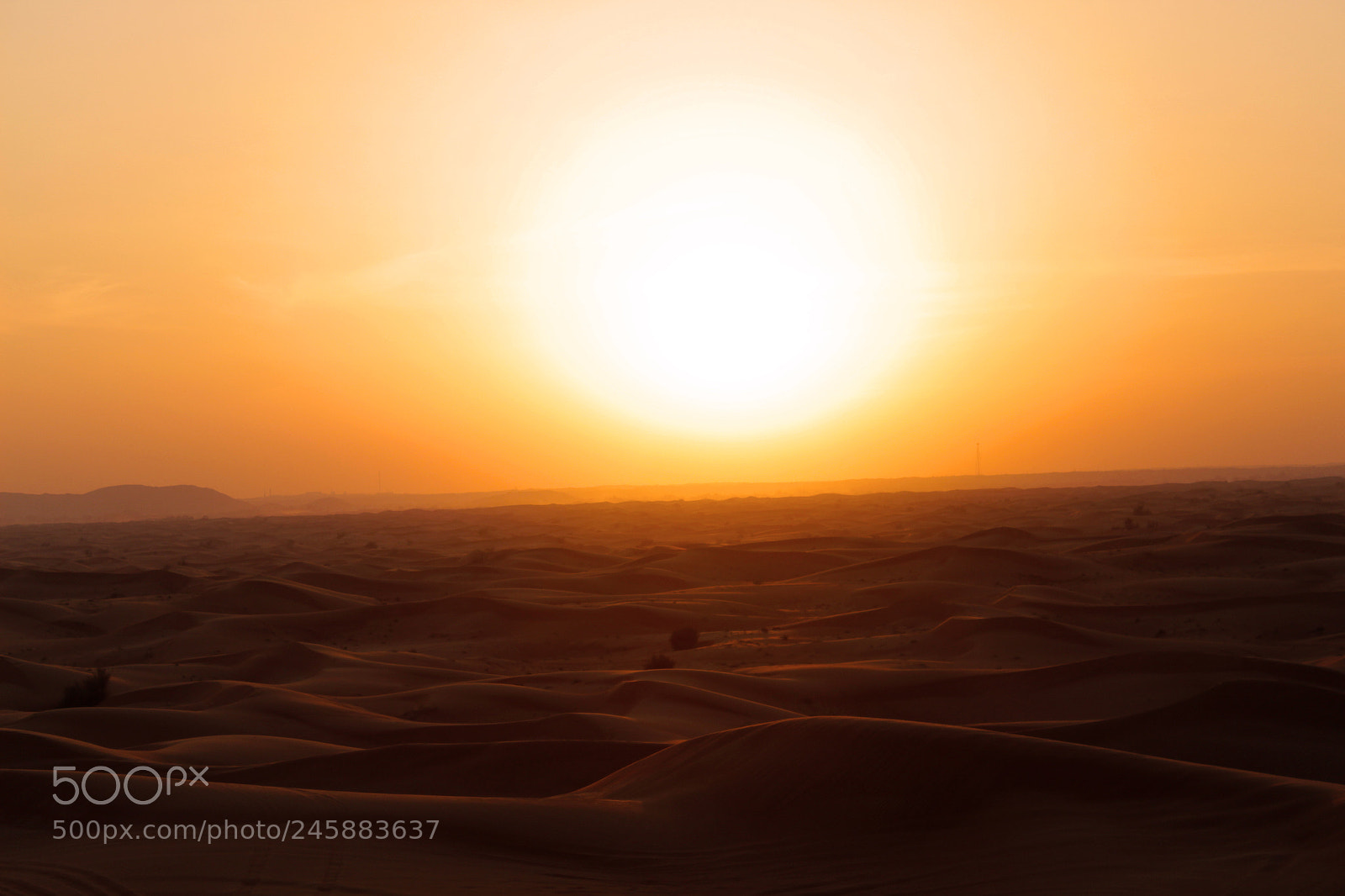 Canon EOS 650D (EOS Rebel T4i / EOS Kiss X6i) sample photo. Desert photography