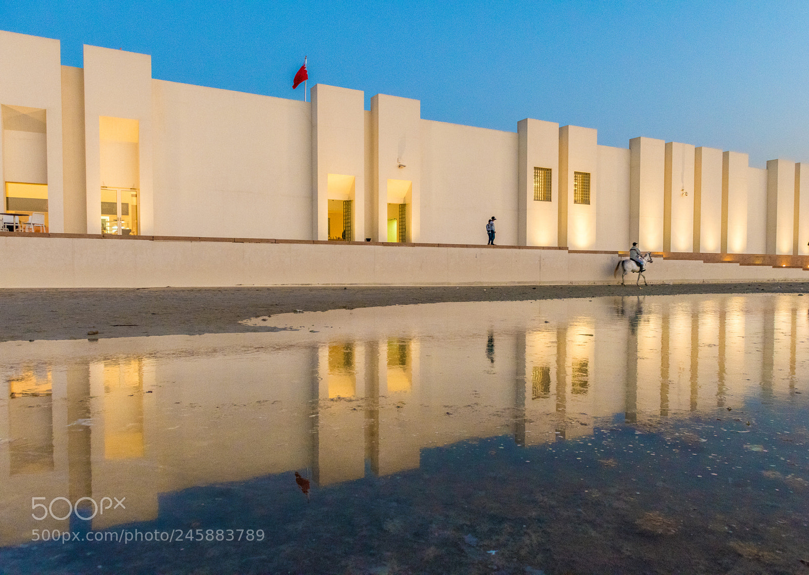 Nikon D810 sample photo. Reflection photography