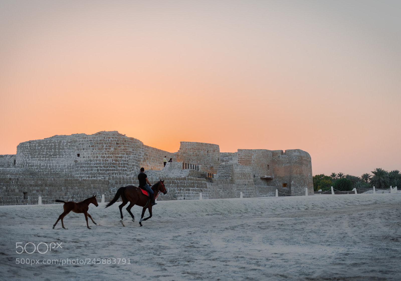 Nikon D810 sample photo. Dusk photography