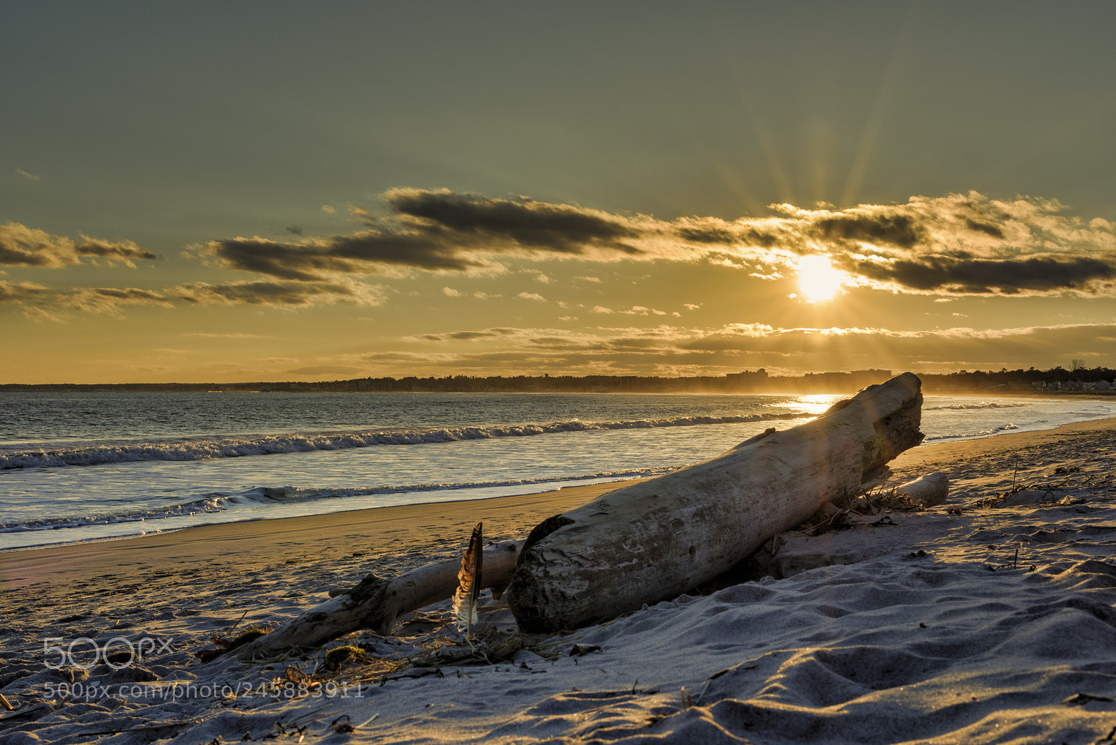 Nikon D810 sample photo. Pine point beach photography