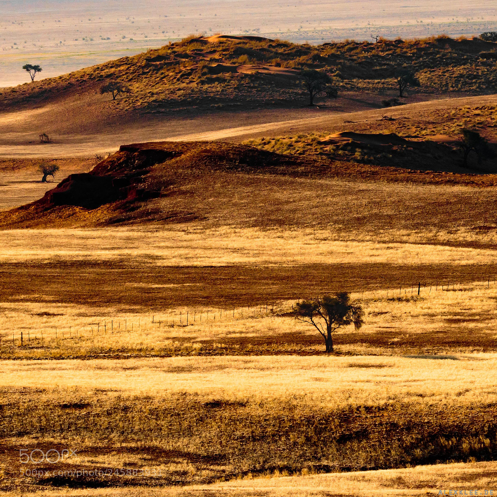 Canon EOS 7D Mark II sample photo. The pastures of namibia photography