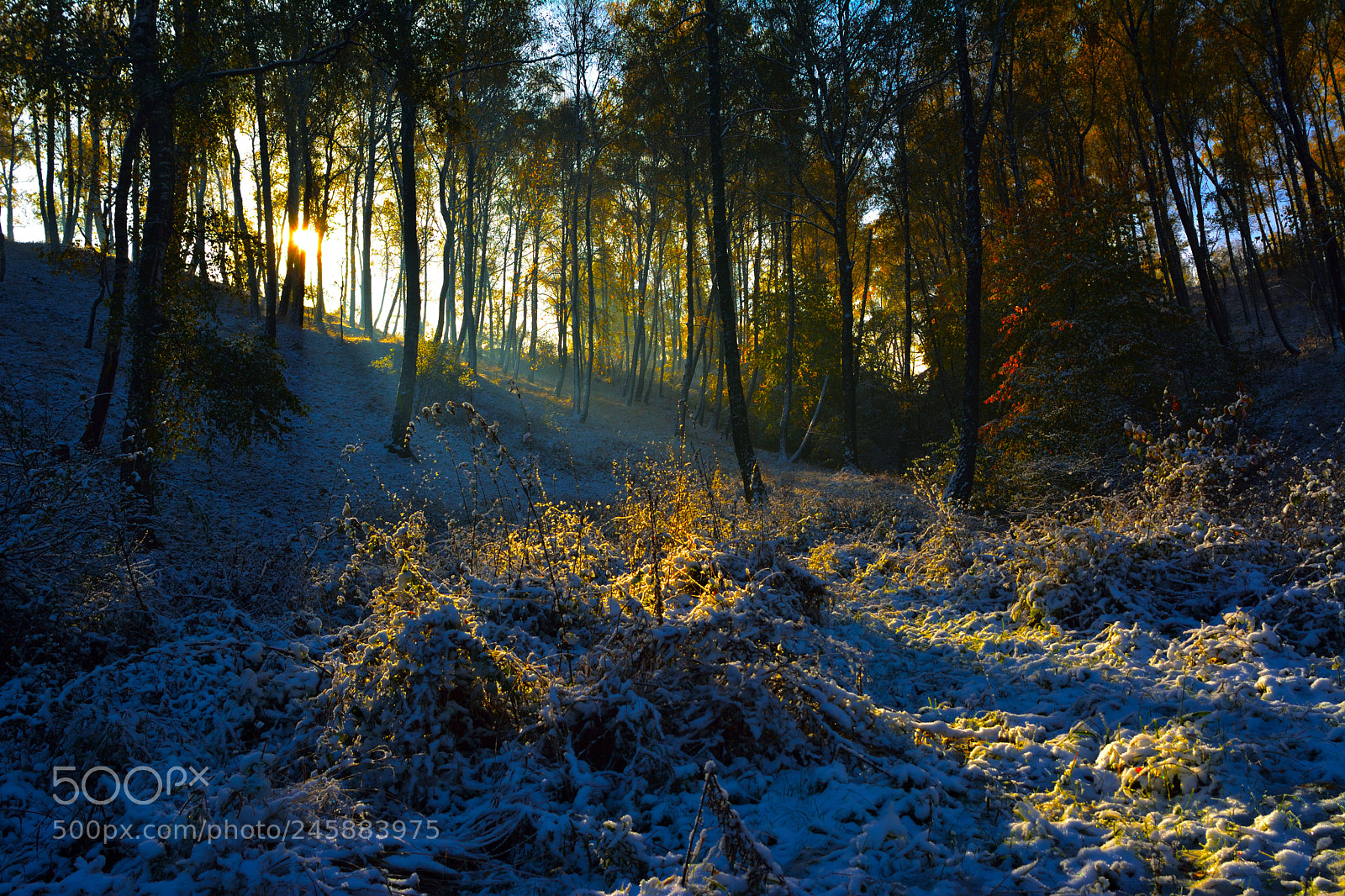 Nikon D5200 sample photo. Ray of sun photography