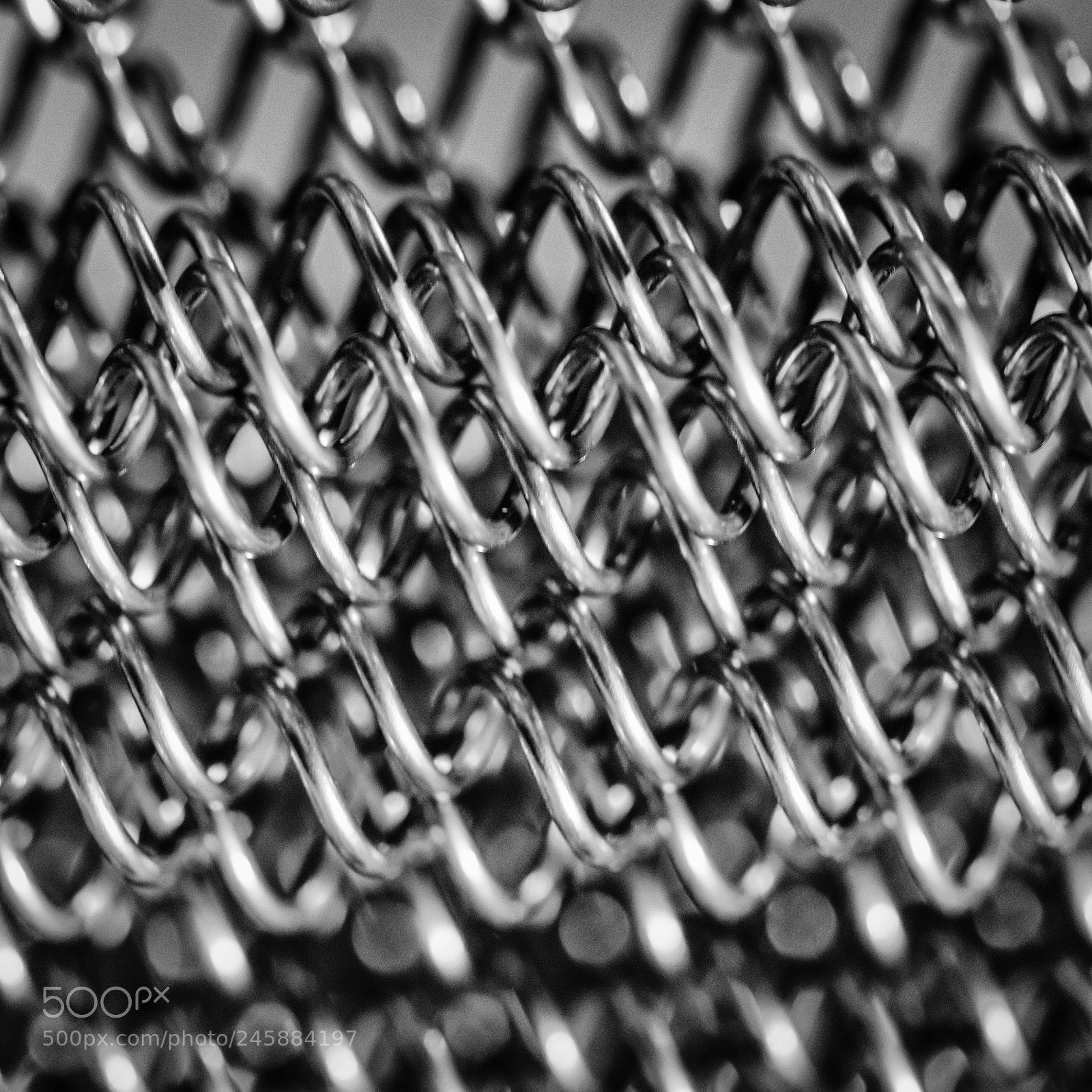 Nikon D810 sample photo. Springs in monochrome photography