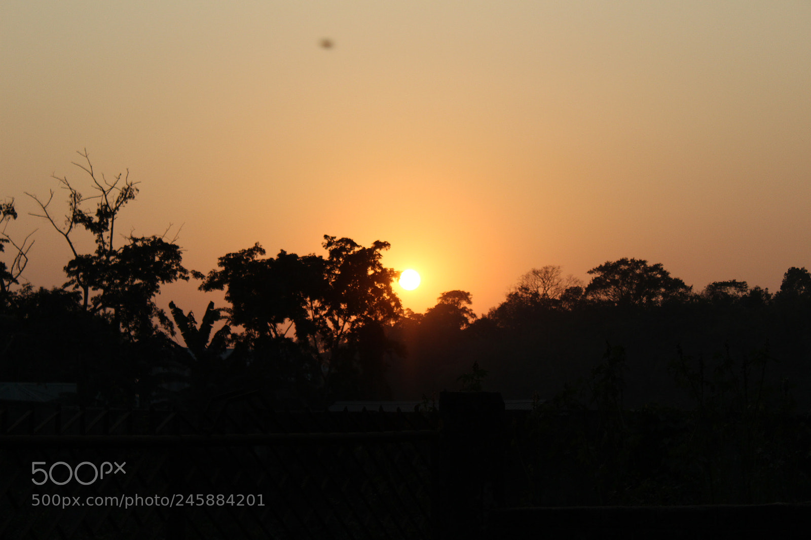 Canon EOS 1300D (EOS Rebel T6 / EOS Kiss X80) sample photo. Sunset photography