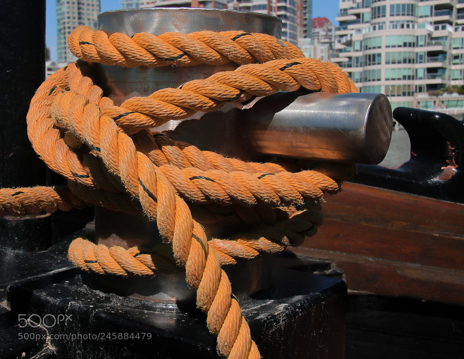 Canon EOS 550D (EOS Rebel T2i / EOS Kiss X4) sample photo. Tied up photography