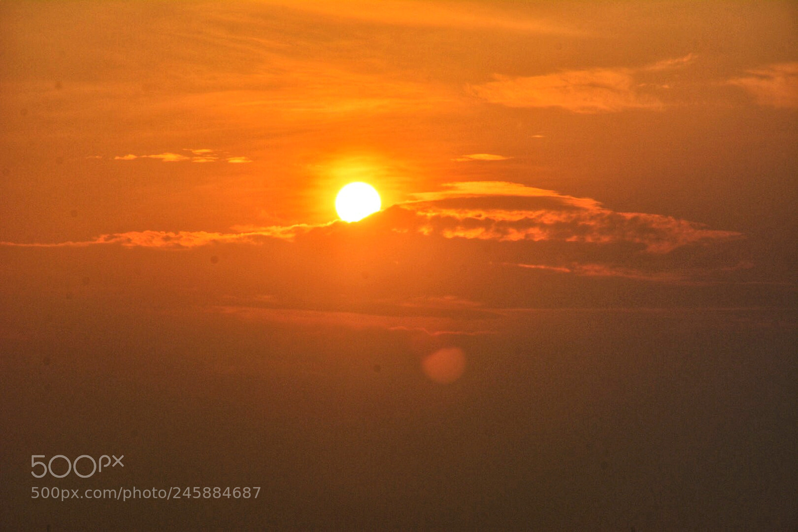 Nikon D7100 sample photo. Untitled photography