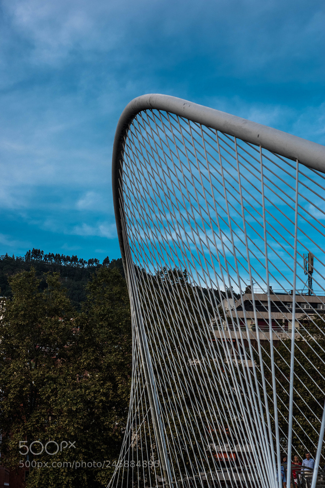 Nikon D5500 sample photo. Amh photography