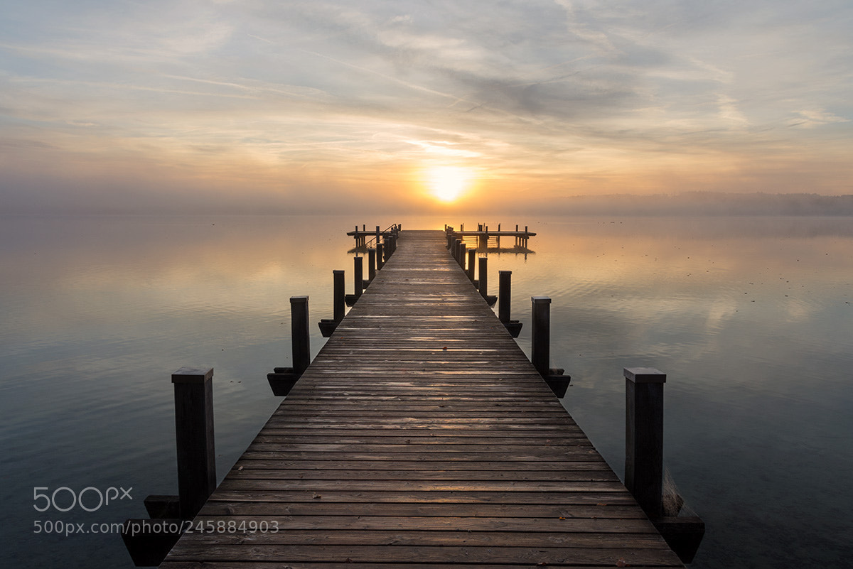 Nikon D7200 sample photo. Misty morning photography