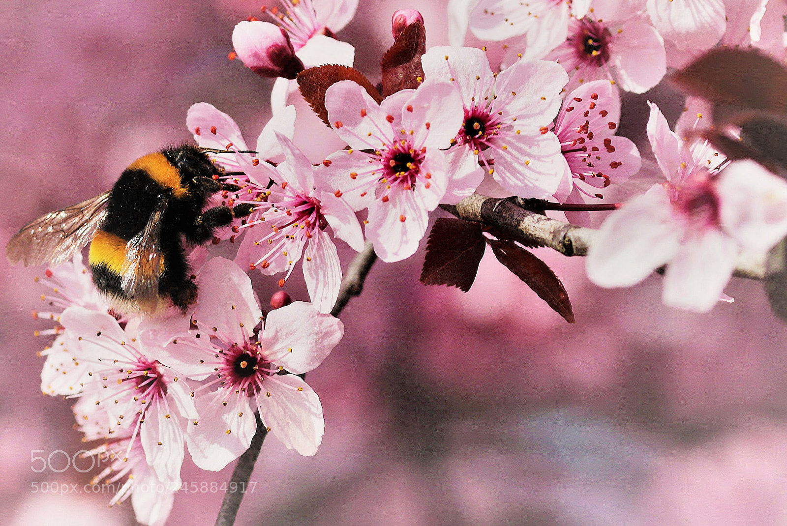 Canon EOS 7D Mark II sample photo. Untitled photography