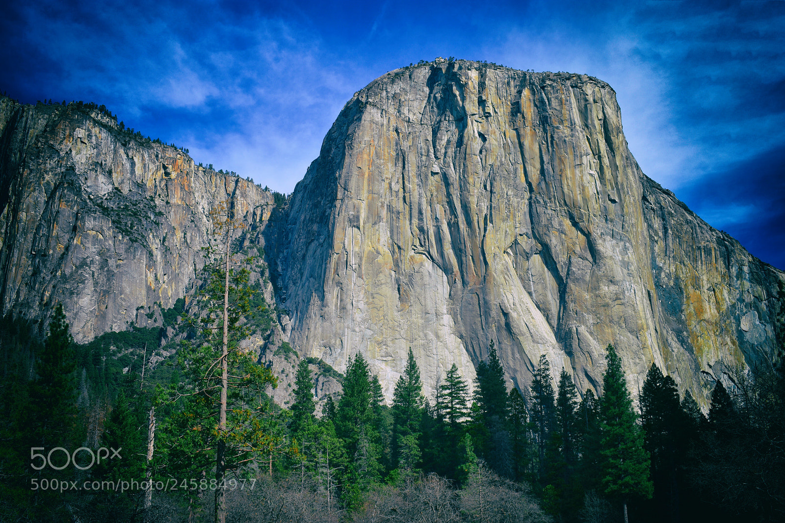 Nikon D3400 sample photo. Yosemite, california photography