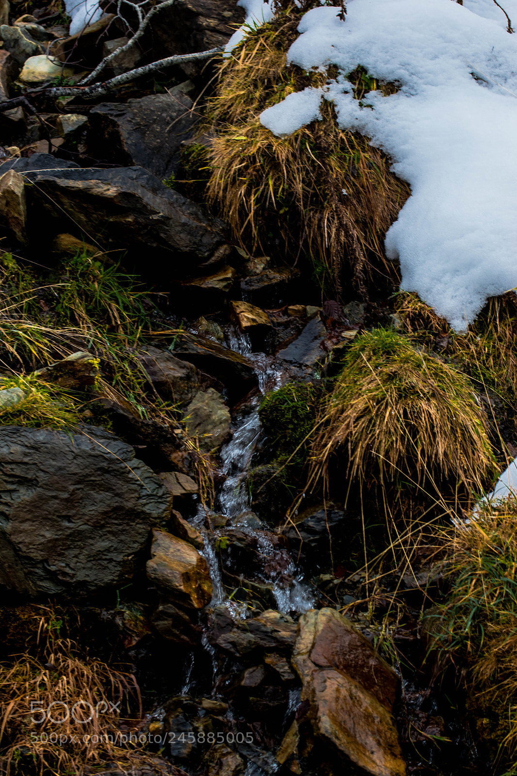 Nikon D5500 sample photo. Amh photography