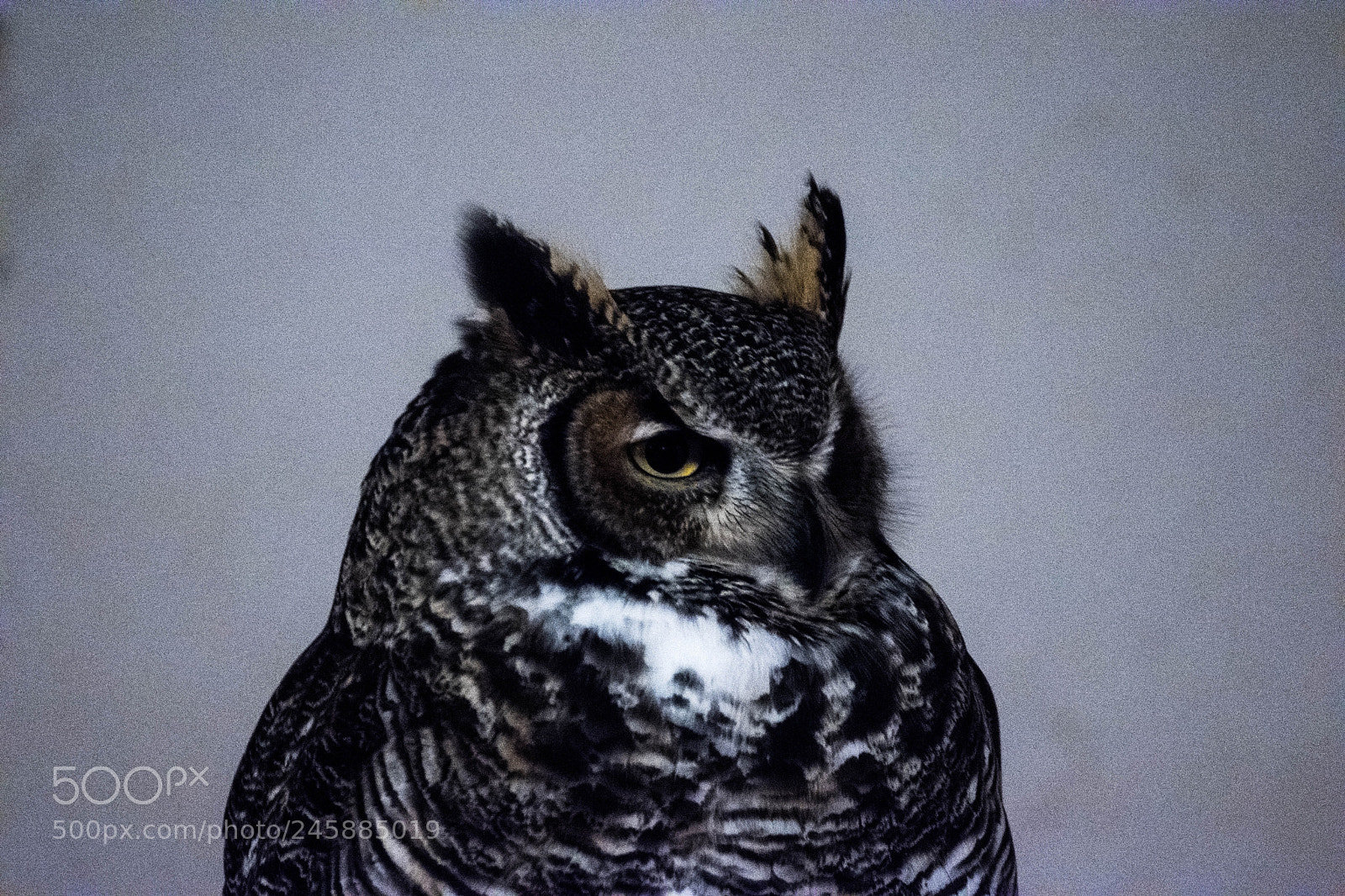 Nikon D5500 sample photo. Amh photography