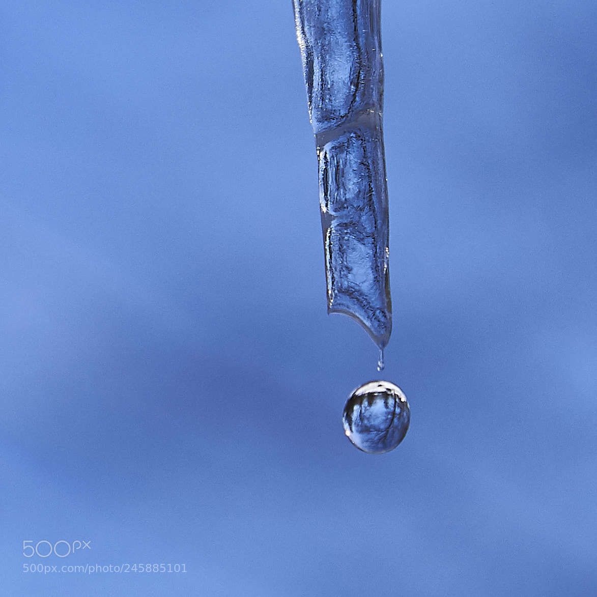 Nikon D610 sample photo. Droplet photography