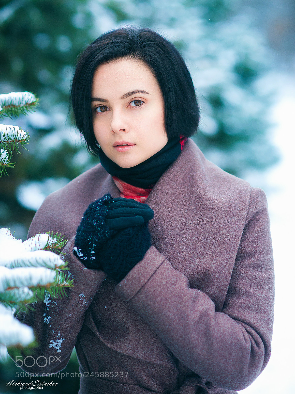 Nikon D700 sample photo. Winter photography