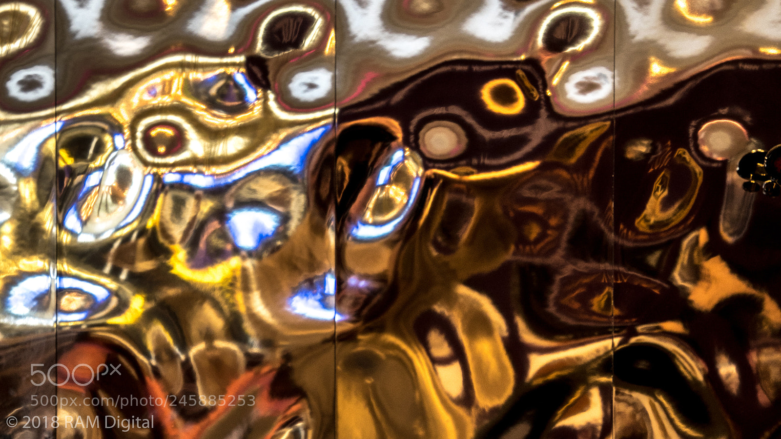Canon EOS-1D X Mark II sample photo. Mirror mirror on the photography