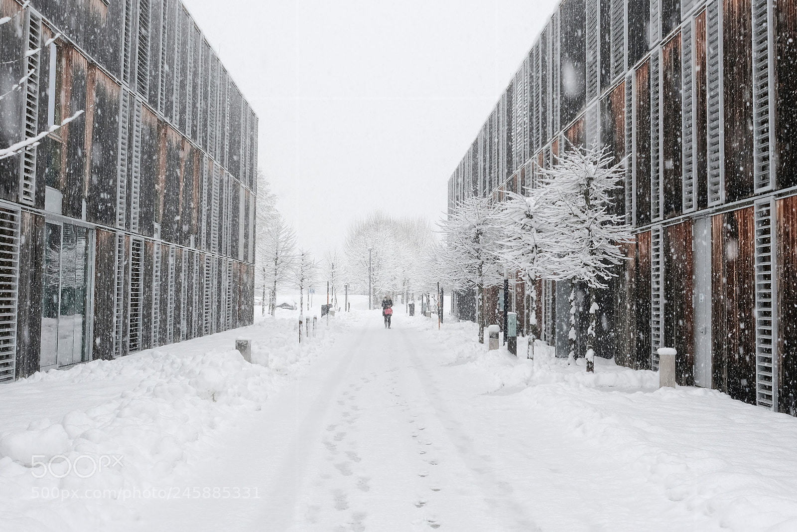 Fujifilm X-T2 sample photo. Whiteout photography
