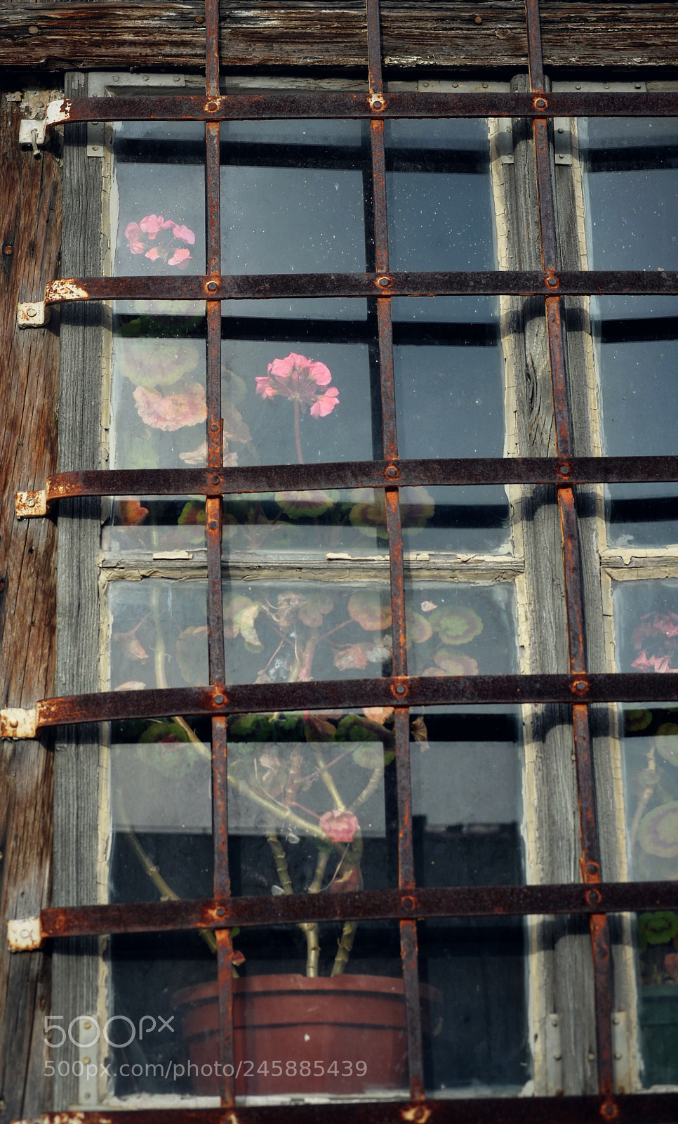 Nikon D700 sample photo. Untitled photography