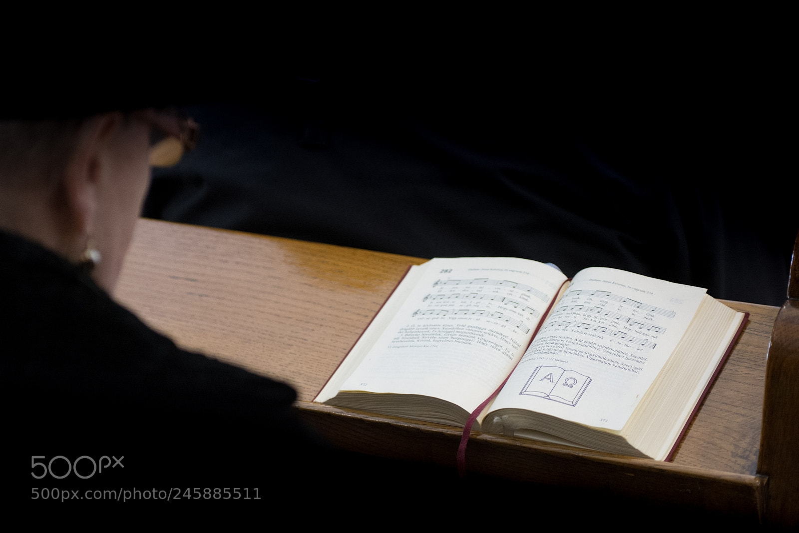 Nikon D7200 sample photo. Untitled photography