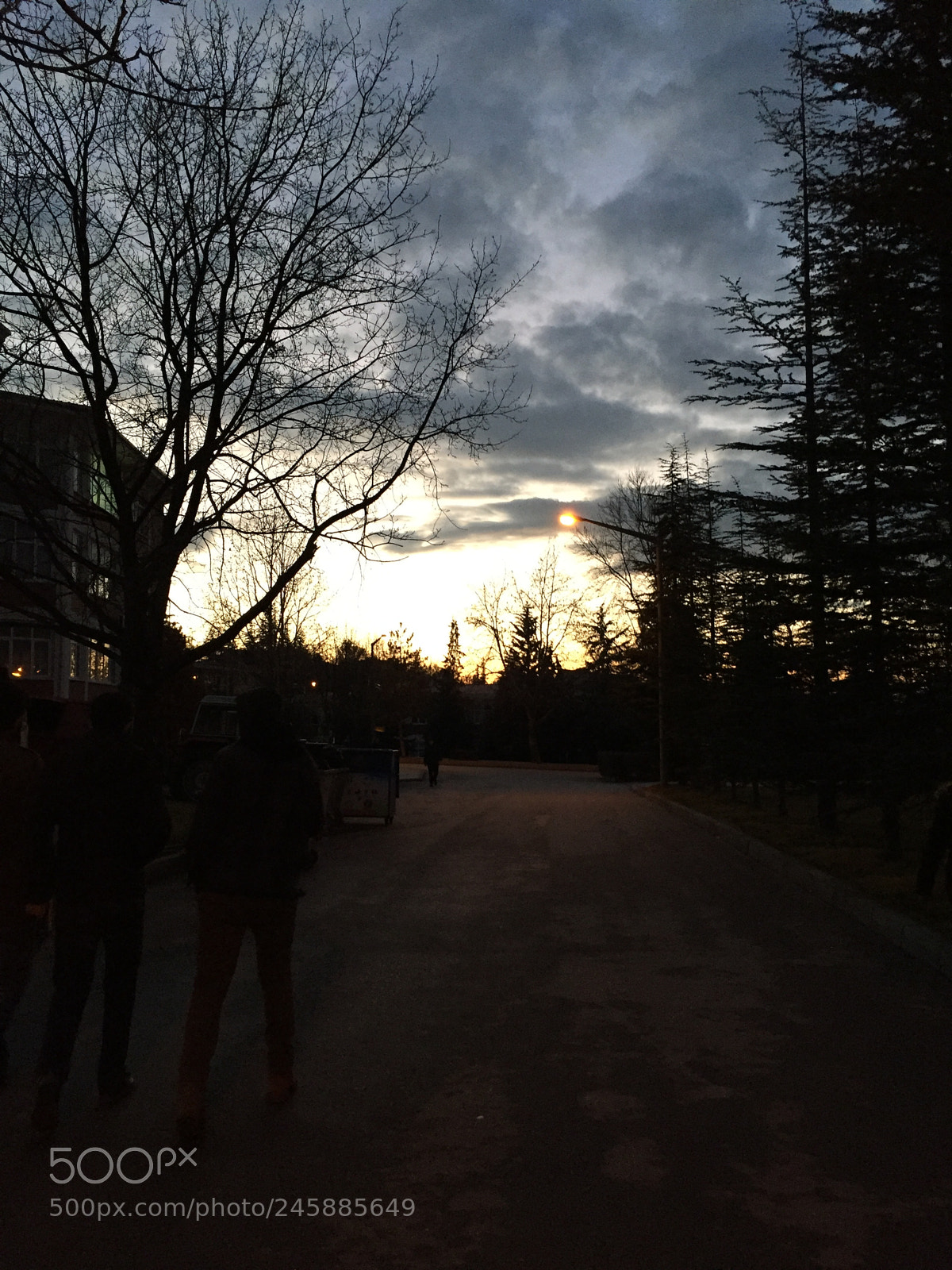 Apple iPhone 6 sample photo. Untitled photography