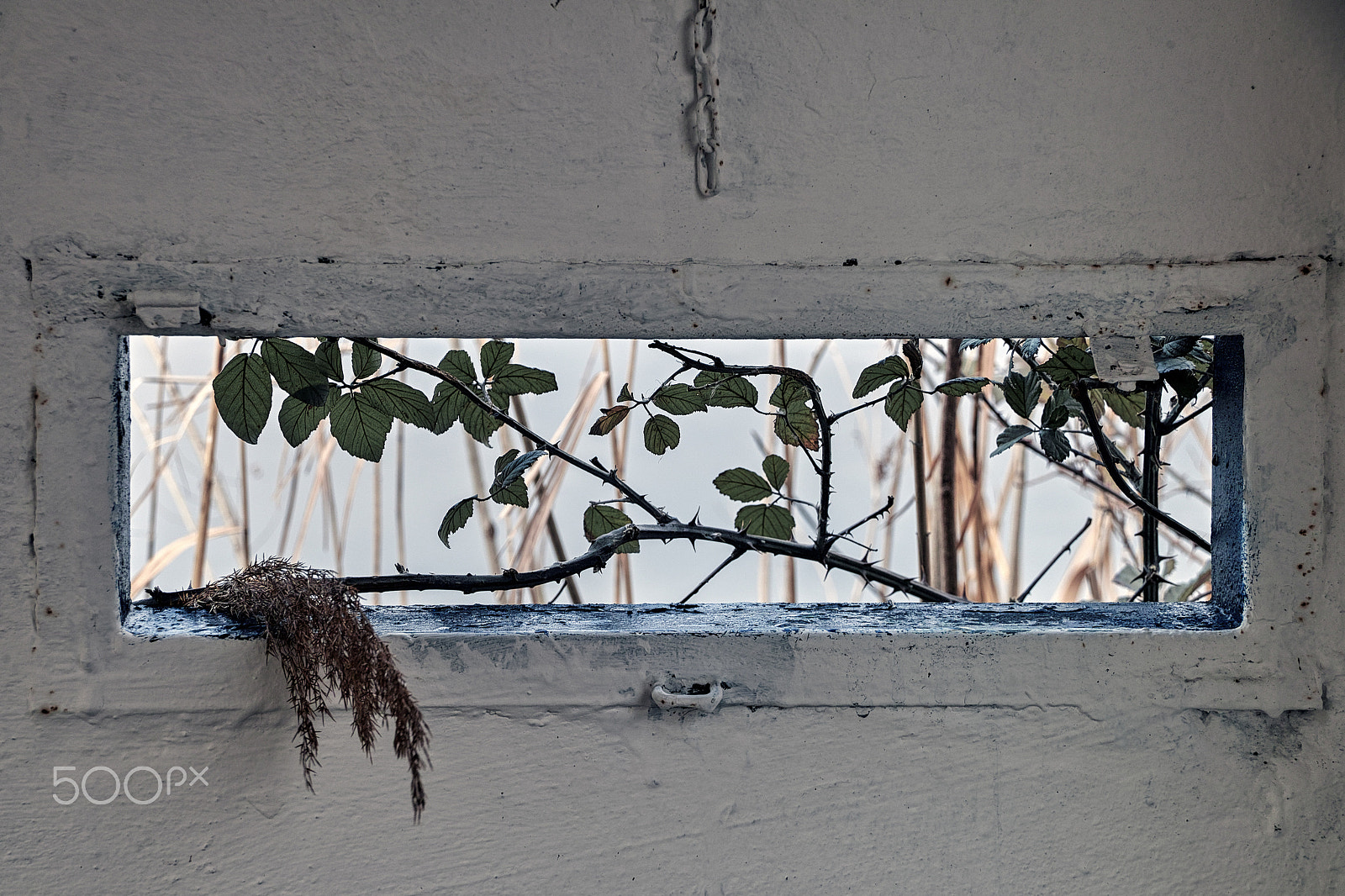 Sigma sd Quattro sample photo. A small open to the outside photography