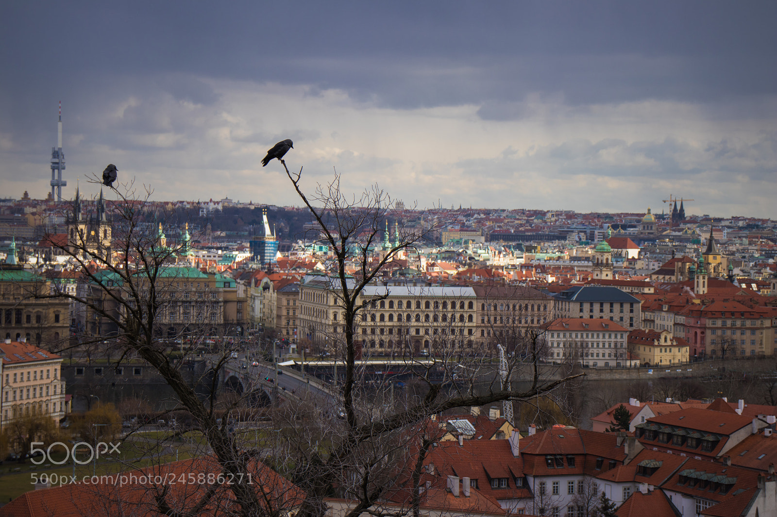 Canon EOS 200D (EOS Rebel SL2 / EOS Kiss X9) sample photo. Layered and alive prague photography