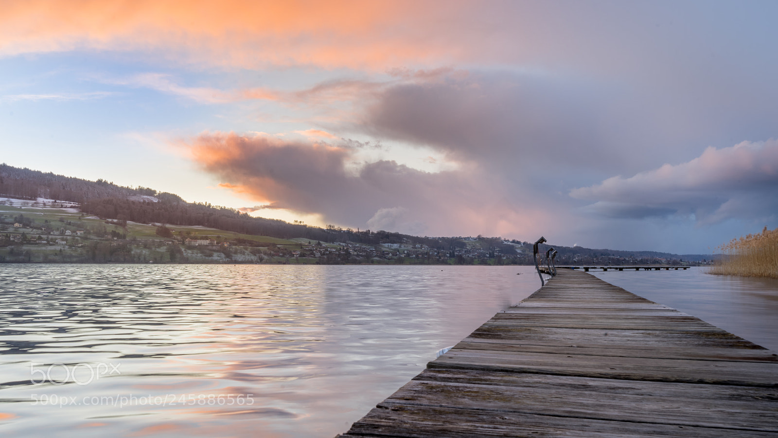 Sony a7 II sample photo. Hallwilersee photography