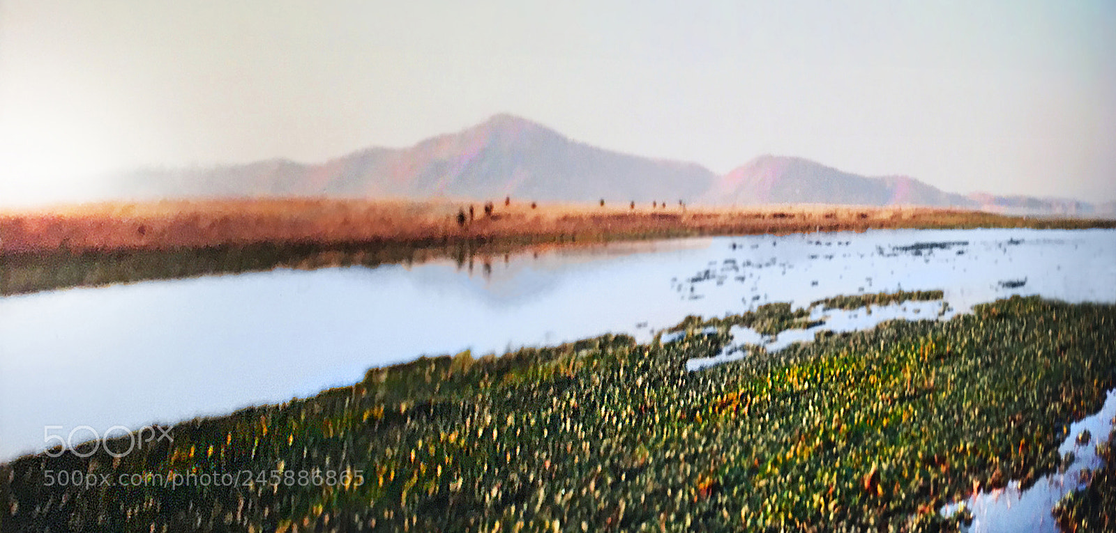 Apple iPhone 6s sample photo. Zambezi photography