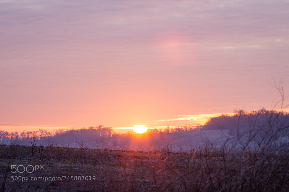 Canon EOS 600D (Rebel EOS T3i / EOS Kiss X5) sample photo. Sunrise in february photography