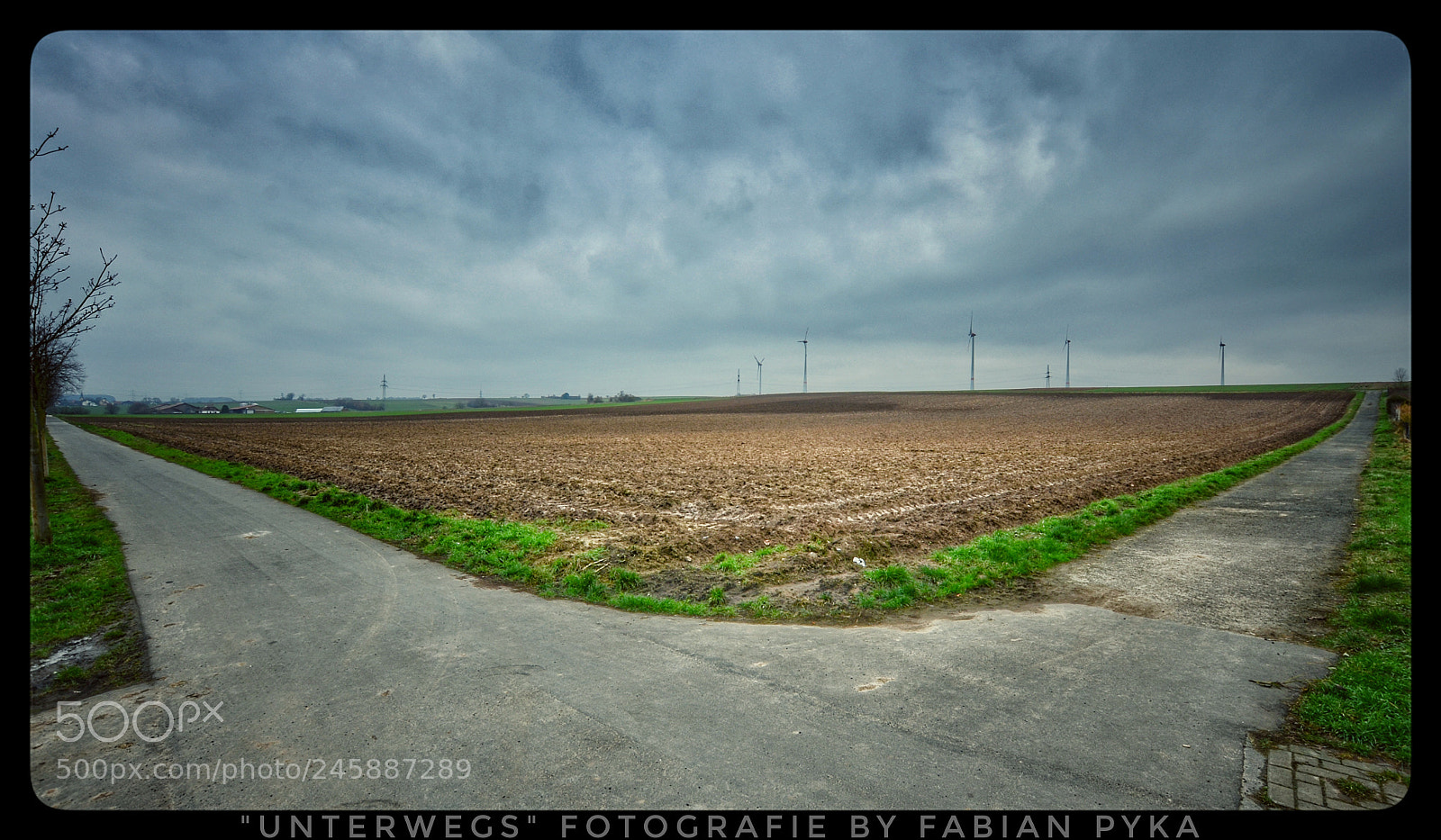 Nikon D5100 sample photo. Untitled photography